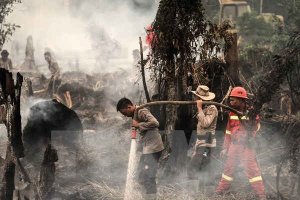 Cháy rừng ở Indonesia làm ảnh hưởng tới một số chuyến bay