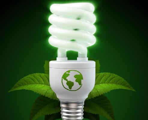 Các sản phẩm thân thiện môi trường sẽ được miễn thuế xuất khẩu