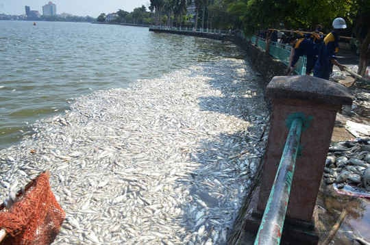 Đã có cách "cứu" Hồ Tây