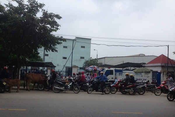 Nghệ An: Đình công kéo dài tại Công ty Matrix