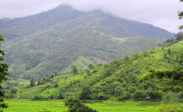 Chi trả DVMTR tại Kon Tum: Dân có thu nhập, rừng được bảo vệ