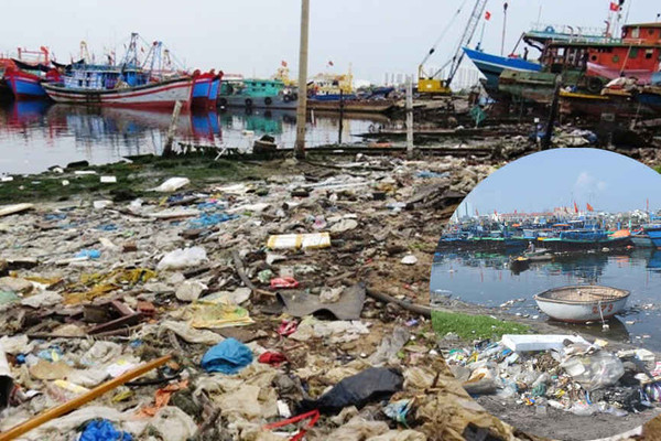 Chủ tịch Đà Nẵng ra "tối hậu thư" xử lý ô nhiễm tại Âu thuyền Thọ Quang