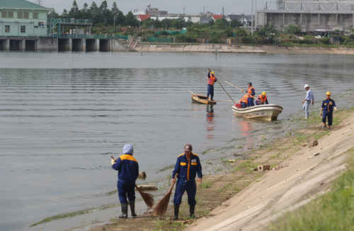 Sở Xây dựng Hà Nội lên tiếng vụ cá chết ở Hồ Linh Đàm