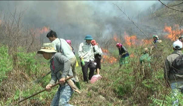 Trạm Tấu (Yên Bái): Chủ động phòng chống cháy rừng mùa khô