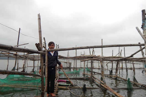 Thừa Thiên Huế: Cá chết hàng loạt trên đầm Cầu Hai