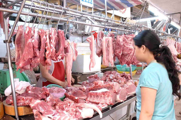 Thừa Thiên Huế: Bác bỏ tin đồn thất thiệt dịch lợn tai xanh