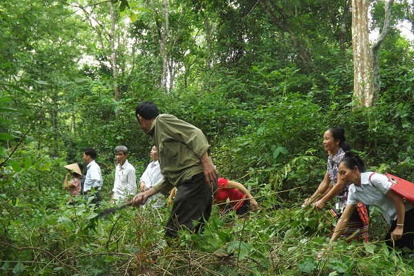 Nghệ An: Tiến độ bàn giao đất lâm nghiệp cho dân đang chậm