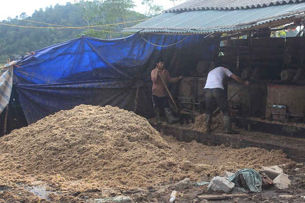 Điện Biên: Trăn trở ô nhiễm sơ chế dong riềng