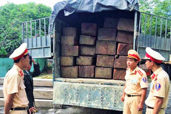 Thừa Thiên Huế: Bắt giữ 6m3 gỗ lậu đang trên đường đi tiêu thụ