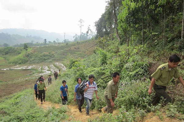 Yên Bái: Phát hiện 219 vụ vi phạm Luật Bảo vệ và phát triển rừng