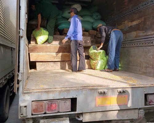 Nghệ An: Hơn 50 khối gỗ giấu trong xe ô tô tải biển số Lào