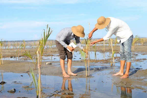 20 năm Việt Nam tham gia hợp tác ASEAN về môi trường