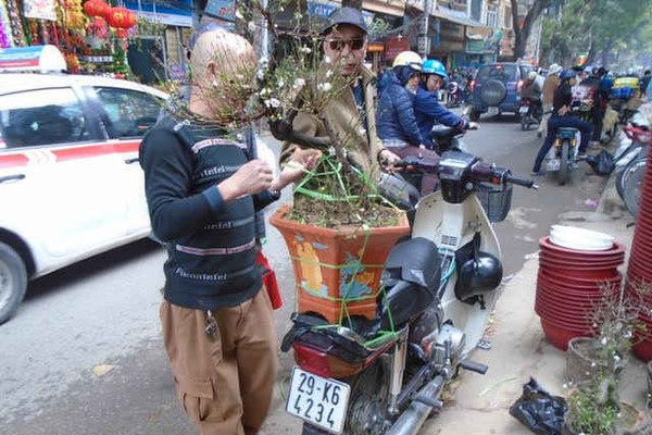 Hà Nội: Sôi động thị trường hoa, cây cảnh cận Tết Nguyên đán