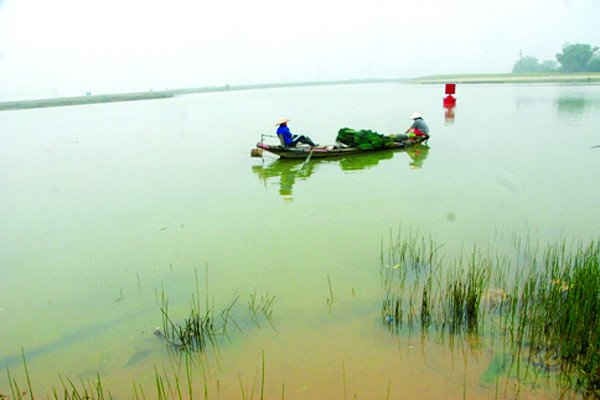 Tam Soa thương nhớ...