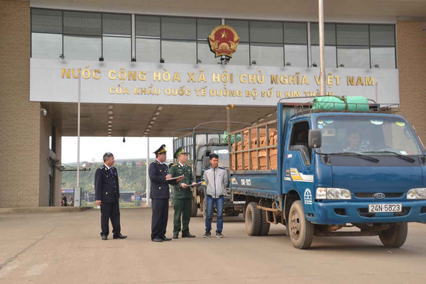 Xuất khẩu 4,8 tấn tôm hùm tươi sống qua cửa khẩu quốc tế Lào Cai