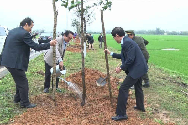 Thừa Thiên Huế: Phát động Tết trồng cây đầu xuân