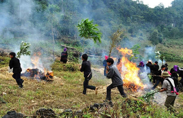 Tuần Giáo (Điện Biên): Thiệt hại trên 581ha do cháy rừng