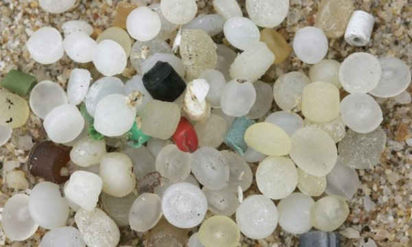 Các hạt nhựa nhỏ nằm rải rác trên 73% bãi biển Anh