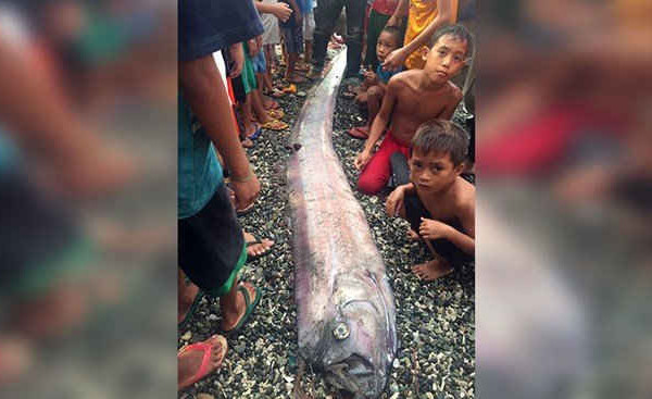 Người dân Philippines lo lắng khi "rồng biển" liên tục xuất hiện