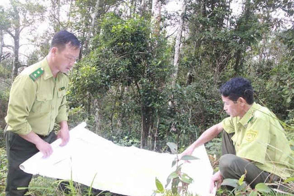 Sơn La: Rà soát, điều chỉnh quy hoạch 3 loại rừng