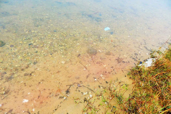 Thừa Thiên - Huế: Xuất hiện vệt nước màu đỏ nhạt dọc đầm Lập An
