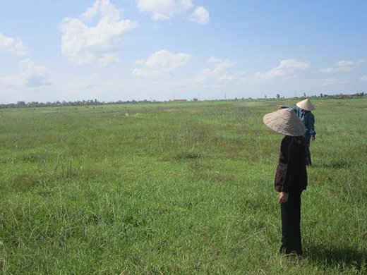 Hội An: Không gia hạn đối với đất nông nghiệp bỏ hoang