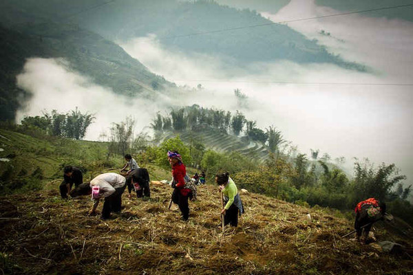 Lào Cai: Cho vay vốn tín dụng ưu đãi của Quỹ bảo vệ môi trường
