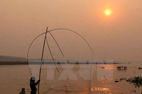 Giới khoa học kêu gọi tiết kiệm nước cho nông dân sông Mekong