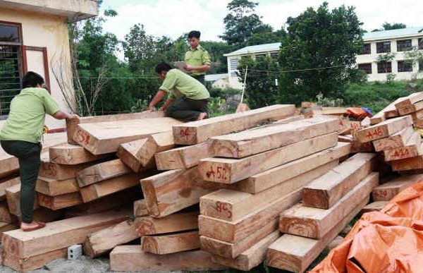 Quản lý, bảo vệ rừng giáp ranh giữa Quảng Nam và Sê Kông (Lào)