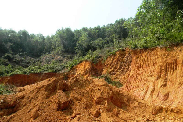 Quảng Nam: Đình chỉ DN khai thác, vận chuyển đất trái phép