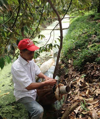 Vũng Liêm - Vĩnh Long:  Hiệu quả từ giải pháp tích trữ, tưới tiết kiệm nước