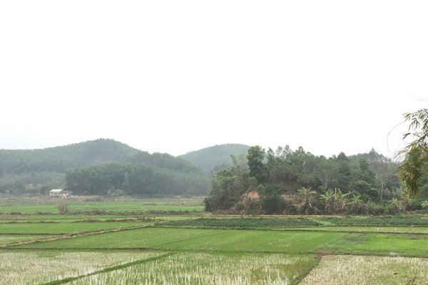 Bắc Giang: Tranh chấp đất rừng tại Yên Thế