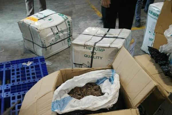 Liên tiếp phát hiện nhiều lô hàng chứa vảy tê tê ở Sân bay Nội Bài