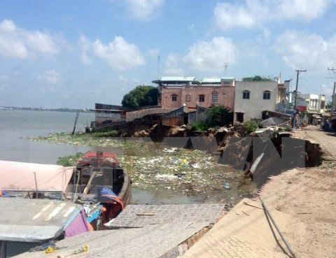 Sạt lở nghiêm trọng làm 14 căn nhà đổ sập xuống sông Hậu