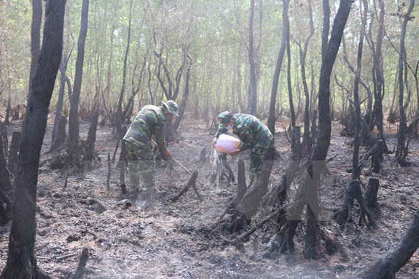 Cháy hơn 36ha rừng tràm do người dân bất cẩn vứt tàn thuốc lá