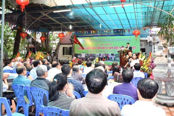 Phát triển hoạt động Bảo tồn Cây Di sản Việt Nam