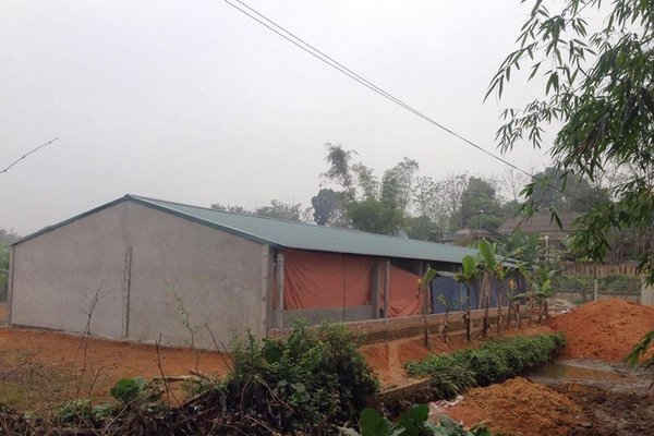 Phú Thọ: huyện Thanh Ba kết luận về trại lợn gây ô nhiễm