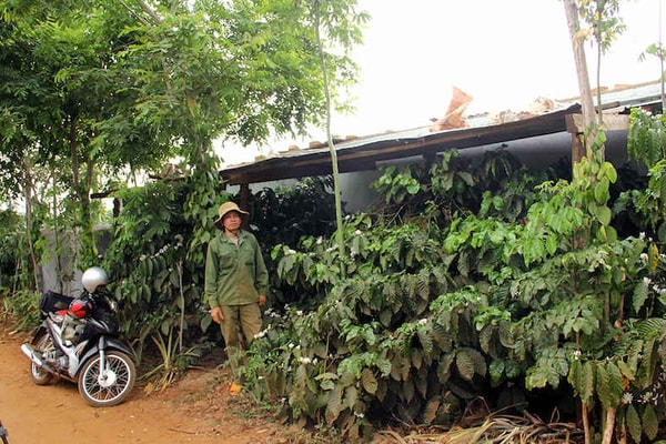 Bị giáng chức Trưởng phòng  vì giúp mẹ ruột xây nhà trái phép