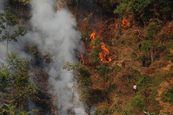Văn Chấn – Yên Bái: Cháy 5,5 ha rừng do nắng nóng kéo dài trên 40 độ