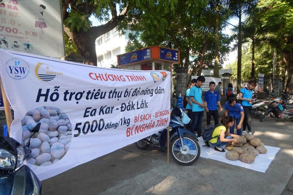 Người dân Huế "giải cứu" 22 tấn bí đỏ giúp bà con Đắk Lắk