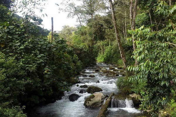 UNESCO công nhận khu dự trữ sinh quyển mới tại Costa Rica