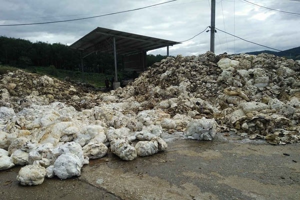 Cty Thuận Lợi (Kon Tum): Bị đình chỉ vẫn ngang nhiên hoạt động