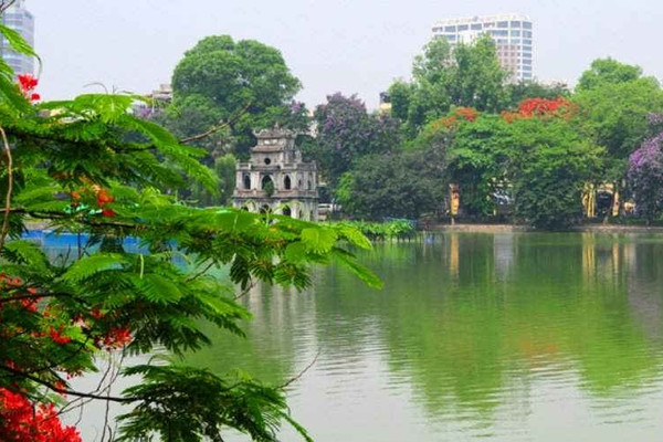 Chủ tịch Nguyễn Đức Chung: Không có chuyện thay cây xanh Hồ Gươm