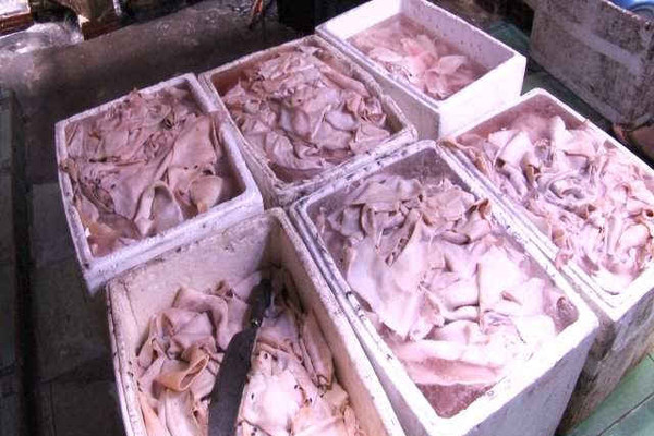 Huế: Cảnh sát môi trường phát hiện hàng trăm kg da lợn thối