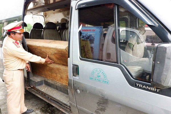Quảng Nam: Bắt giữ xe Ford chở gỗ lậu trong đêm