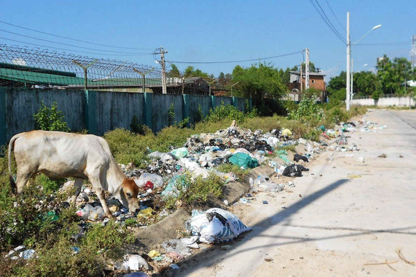 Bình Định: Cụm Công nghiệp Phước An "chìm ngập" trong rác