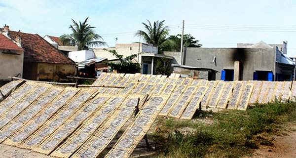 Bình Thuận: BVMT nông thôn mới gắn với xử lý ô nhiễm làng nghề