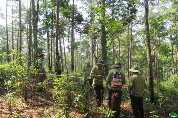 Tạo nguồn thu để quản lý rừng tự nhiên