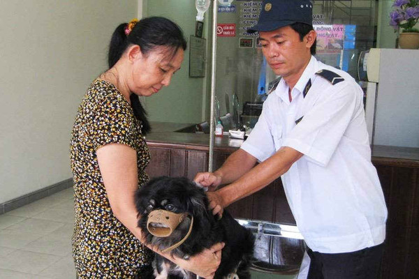 Thừa Thiên Huế: Tăng cường các biện pháp cấp bách phòng, chống bệnh dại