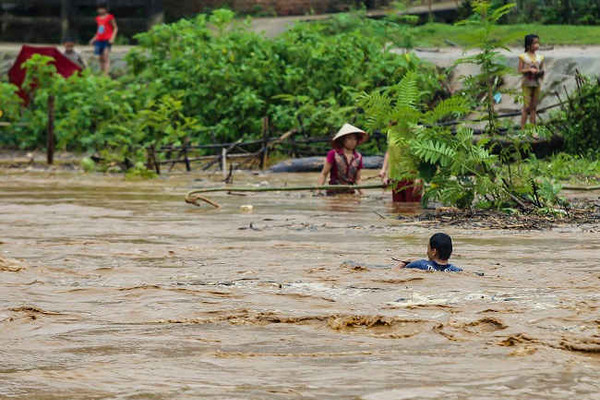 Người dân Điện Biên liều mình vớt củi giữa dòng lũ giữ